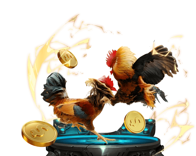 Cá cược Đá Gà five88 .vin