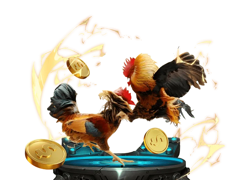 Cá cược Đá Gà five88 .vin